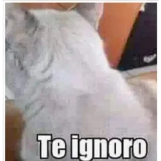 😒 emoji Sergi Rata Telegram sticker 9 of 105