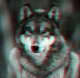 🐺 emoji Random pack 2 | @Neferiens Telegram sticker 19 of 48