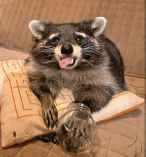 🦝 emoji Age of Racoons (pt3) @Marco9559 Telegram sticker 12 of 61
