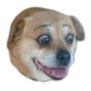 Sticker from doggos
