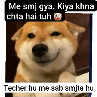 😁 emoji @just_pranav_words by teacher Telegram sticker 11 of 21