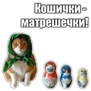 😨 emoji Cats police Telegram sticker 24 of 120