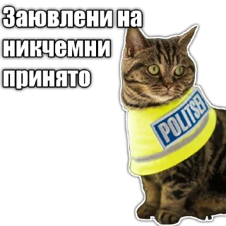 👮 emoji Cats police Telegram sticker 21 of 120