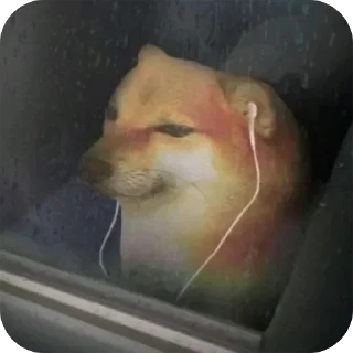 🙂 emoji Doge 🐶🐕 Telegram sticker 8 of 120