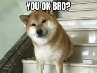 👋 emoji Doge 🐶🐕 Telegram sticker 10 of 120