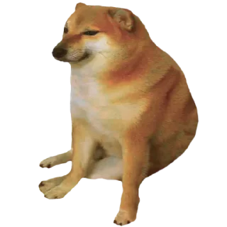 😭 emoji Doge 🐶🐕 Telegram sticker 5 of 120