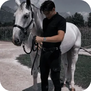 🐎 emoji ❦𝑴𝑨𝑭𝑰𝑨᤻ [@nagumo_N] Telegram sticker 9 of 69