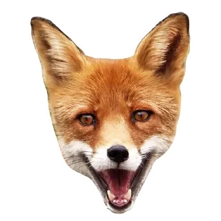 😀 emoji Il Volpo Telegram sticker 16 of 20