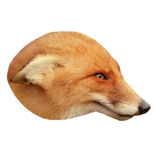 🙃 emoji Il Volpo Telegram sticker 10 of 20
