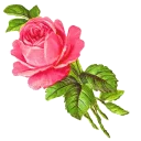 🌹 emoji @loveoops 🎀 پاپیون 🎀 Telegram sticker 18 of 120