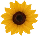 Sticker from @Loveoops_art : Flowers2