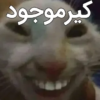 👍 emoji آلات موسیقی موشعلی ۲ Telegram sticker 13 of 57
