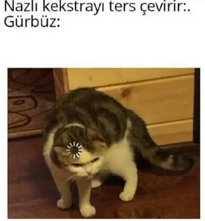 😾 emoji Ahmet ab Telegram sticker 12 of 38
