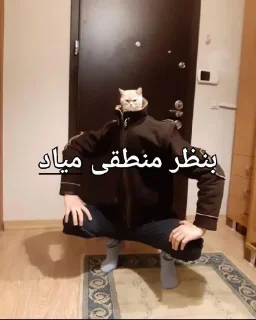 Sticker from شومبولستانیان اهل امپراتوری خر روانی