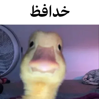 Sticker from @wicvio | اردک سخنگو