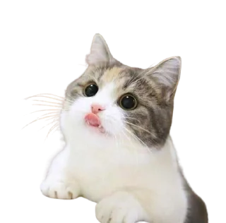 🌟 emoji Blep :p Telegram sticker 10 of 16