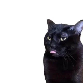 Sticker from Blep :p