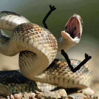 Sticker from پک بیتا🫧