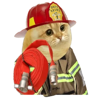 Sticker from Cate The Cat