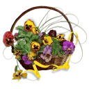 🌺 emoji @stickerkar  👈استیکر های بیشتر در Telegram sticker 11 of 107