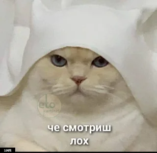 😬 emoji Муд: Николай Telegram sticker 22 of 36