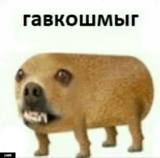 🐶 emoji Муд: Николай Telegram sticker 21 of 36