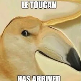 🐧 emoji doge Telegram sticker 14 of 27