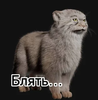 🥲 emoji Смешные манулы Telegram sticker 6 of 40