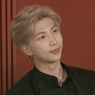🐾 emoji Rm (@btsvideopic) Telegram sticker 20 of 30