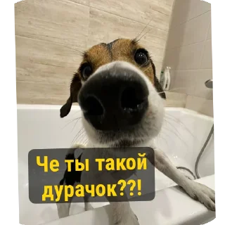 🐞 emoji Для друзей Telegram sticker 15 of 36