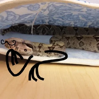 🧐 emoji Snake Doodles Telegram sticker 16 of 20