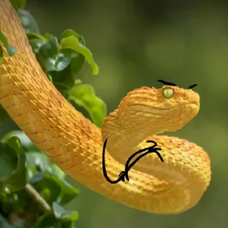 😡 emoji Snake Doodles Telegram sticker 7 of 20