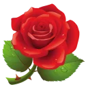 🌹 emoji @stickerkar  👈 استیکر بیشتر در Telegram sticker 11 of 101
