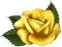 🌺 emoji @stickerkar  👈 استیکر بیشتر در Telegram sticker 22 of 101