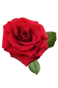 🌹 emoji @stickerkar  👈 استیکر بیشتر در Telegram sticker 23 of 101