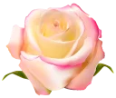 🌹 emoji @stickerkar  👈 استیکر بیشتر در Telegram sticker 17 of 101