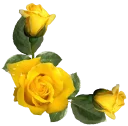 🌹 emoji @stickerkar  👈 استیکر بیشتر در Telegram sticker 8 of 101