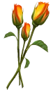 💐 emoji @stickerkar  👈 استیکر بیشتر در Telegram sticker 20 of 101
