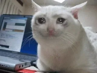 😢 emoji Cute Cats Telegram sticker 18 of 83