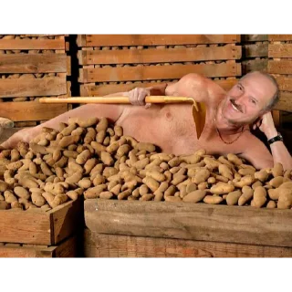 🥔 emoji President of Belarus Telegram sticker 17 of 39