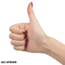 👍 emoji ALI-AFSHAR-20 Telegram sticker 21 of 72