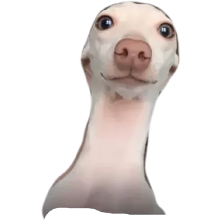 😀 emoji المجموعة 3 👽🤍. Telegram sticker 7 of 51