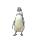 🐦 emoji Sis Telegram sticker 19 of 30