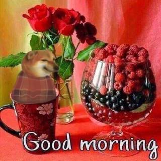 👍 emoji good morning thank you how are you too Telegram sticker 9 of 30