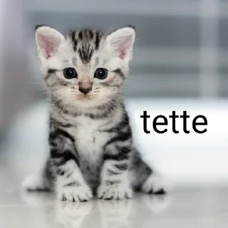 🐱 emoji cacca culo pisnelo Telegram sticker 5 of 13