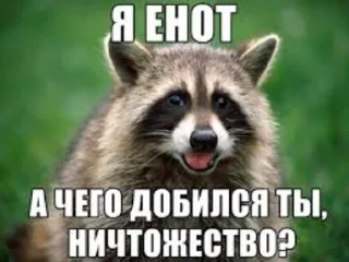 😍 emoji Крутой эщкере Telegram sticker 7 of 37