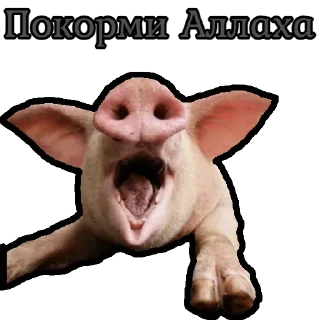 🐷 emoji ⚡️ @KuKluxRussia ⚡️ Telegram sticker 9 of 10