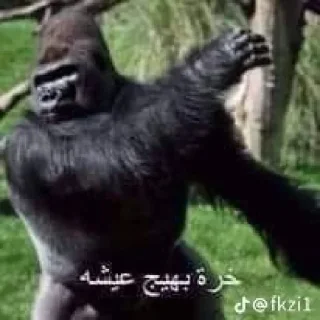 😭 emoji :: عمك Telegram sticker 17 of 71