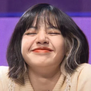 ☺️ emoji lili @BLACKPINK4 Telegram sticker 12 of 70
