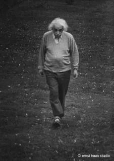 🚶 emoji Albert Einstein Telegram sticker 18 of 30